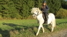 Reitunterricht